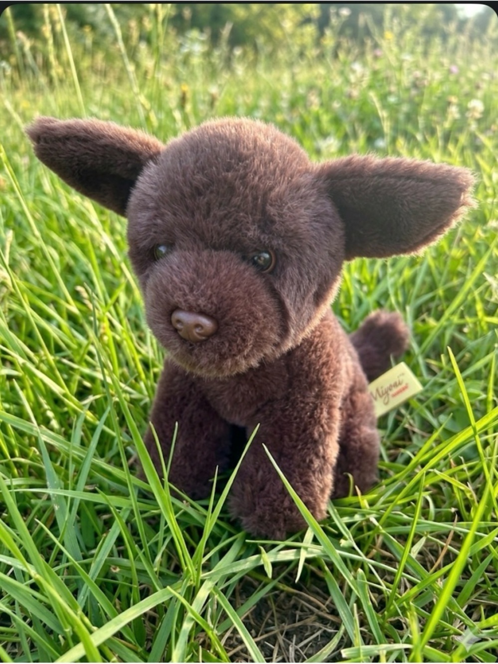 Brown Plush Puppy Stuffed Animal